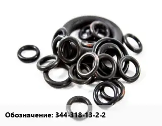 Кольцо РТИ 344-318-13-2-2